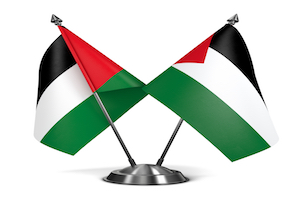 Palestine - Miniature Flags.